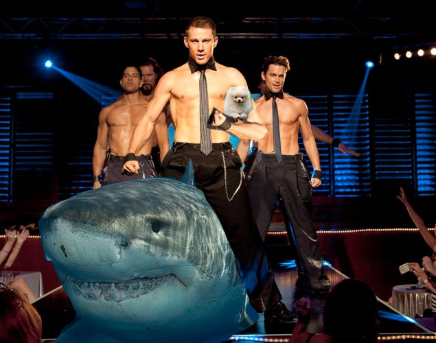 OakMonster.com - Shirtless Channing Tatum holding a puppy riding a shark