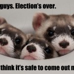 OakMonster.com - Safe Ferrets